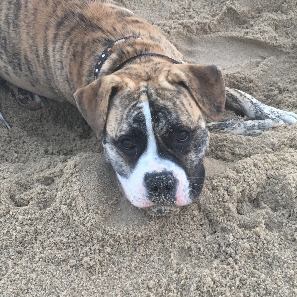 Meet your Posher, Georganne